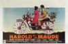 Harold and Maude illustrated poster